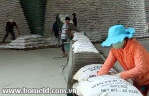 SBV asks banks to extend rice reserve loans