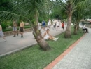 Hà Nội: Xây dựng mới 18 công viên, vườn hoa